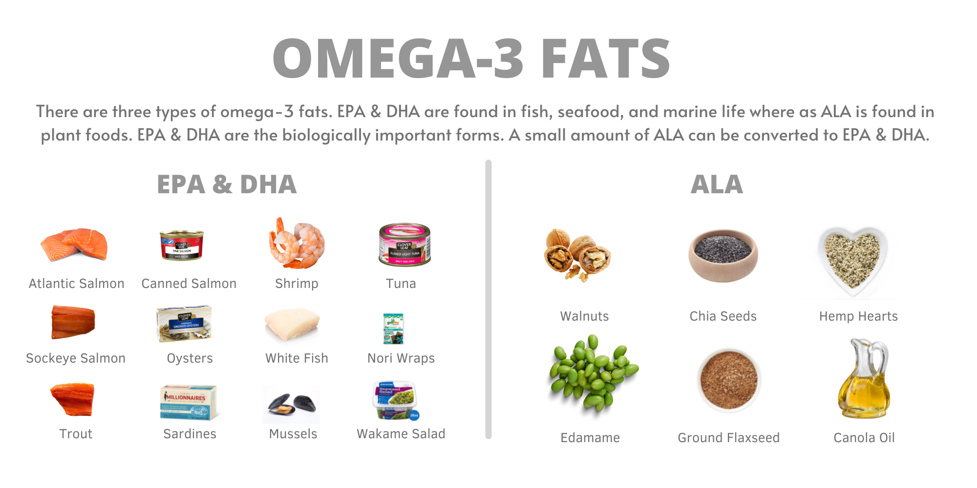 Dietitian s Guide To Omega 3 Fats Saskatchewan Blue Cross