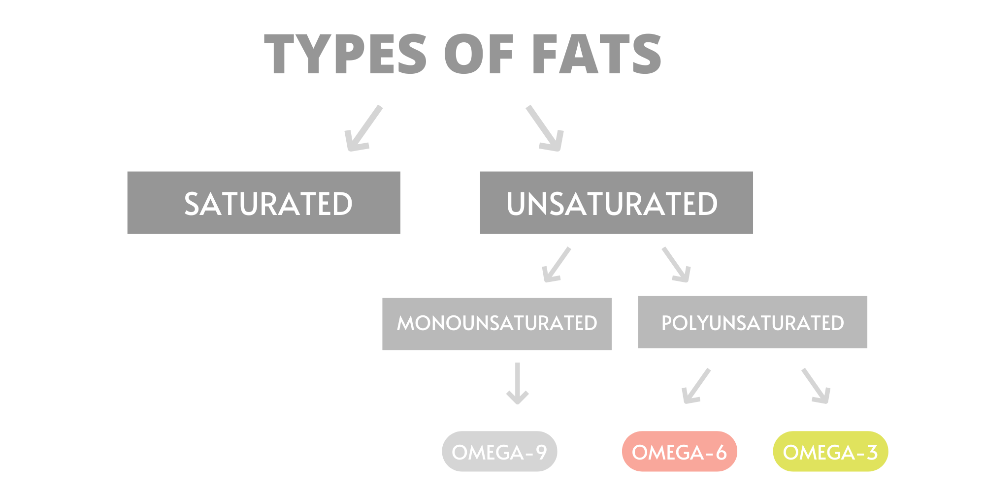 Dietitian's guide to Omega3 fats Saskatchewan Blue Cross